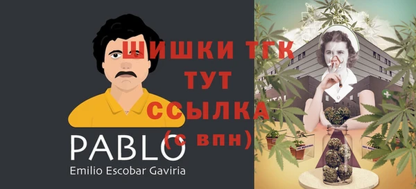 ешки Каменногорск