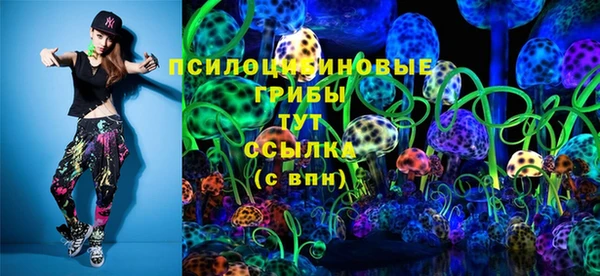 ешки Каменногорск