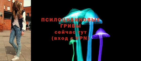 Альфа ПВП Каменка