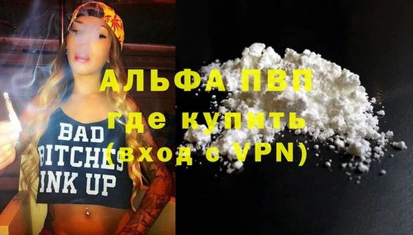 Альфа ПВП Каменка