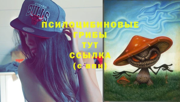 соль ск Зеленодольск