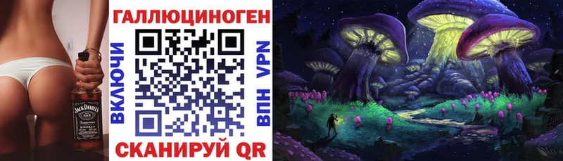 Купить  Нерюнгри  Псилоцибиновые грибы MAGIC MUSHROOMS 